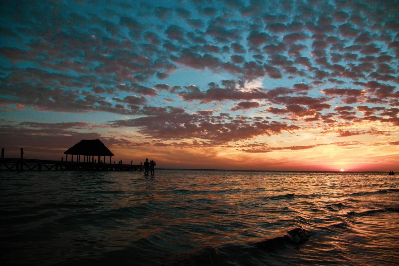 Che Holbox Hostel & Bar Adults Only 외부 사진